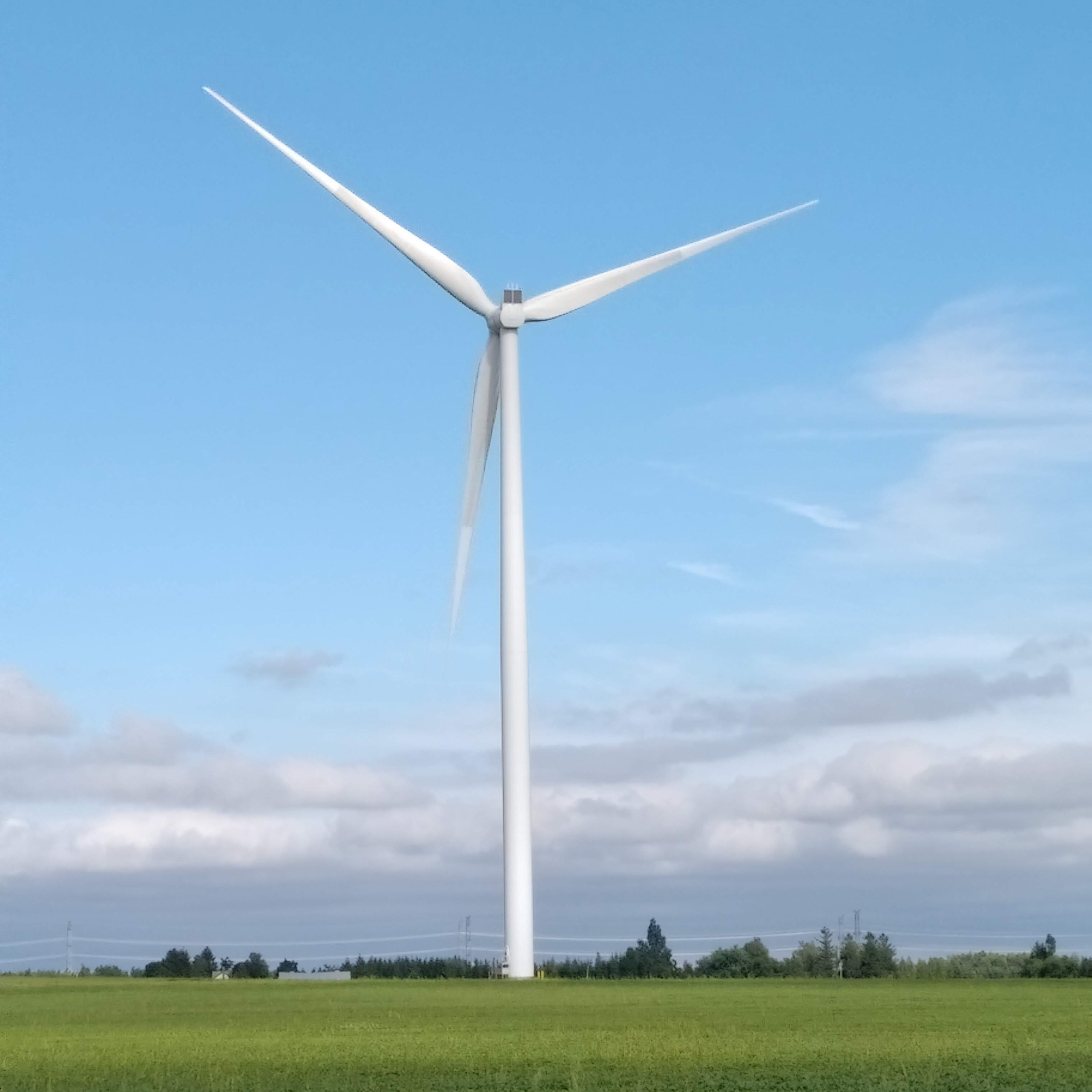 A wind turbine standing in a green field