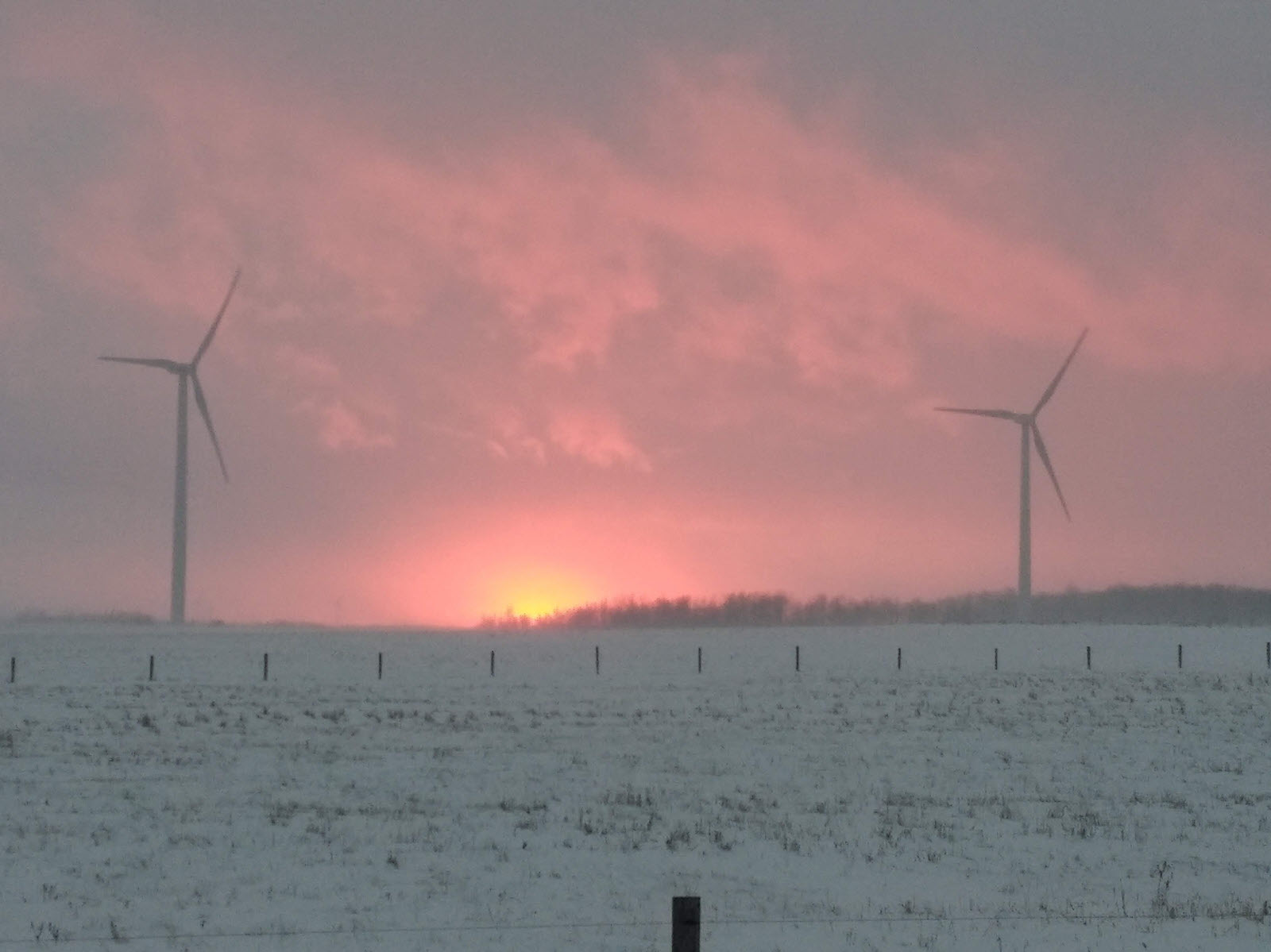 Two wind turbines in a field at sunset