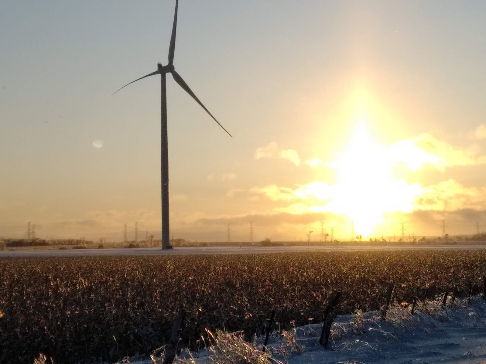 A wind turbine at sunet